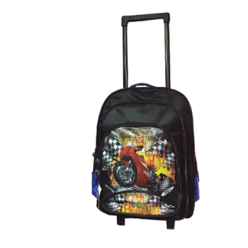 big trolley bags for school