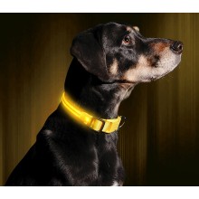 Led Flashing Dog Collar (Medium)